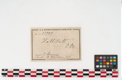 Etikett zu Bronzering (NHMW-PRAE-035787)